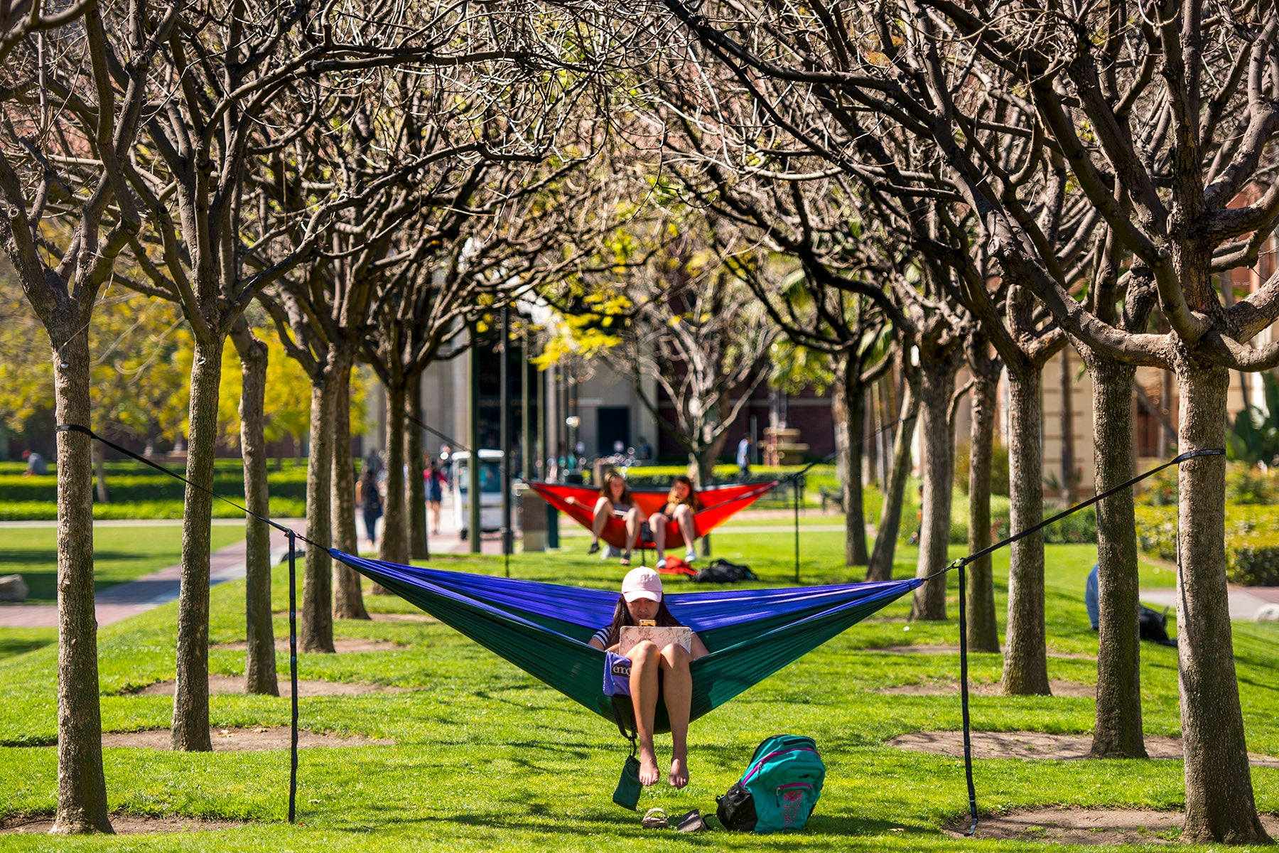 Trojan life: Students studying in hammocks in McCarthy Quad