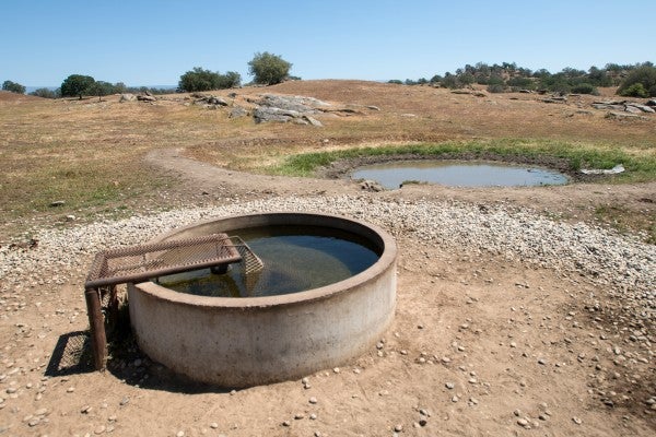 Groundwater_pumps_in_desert_credit_USDA_Lance_Cheung