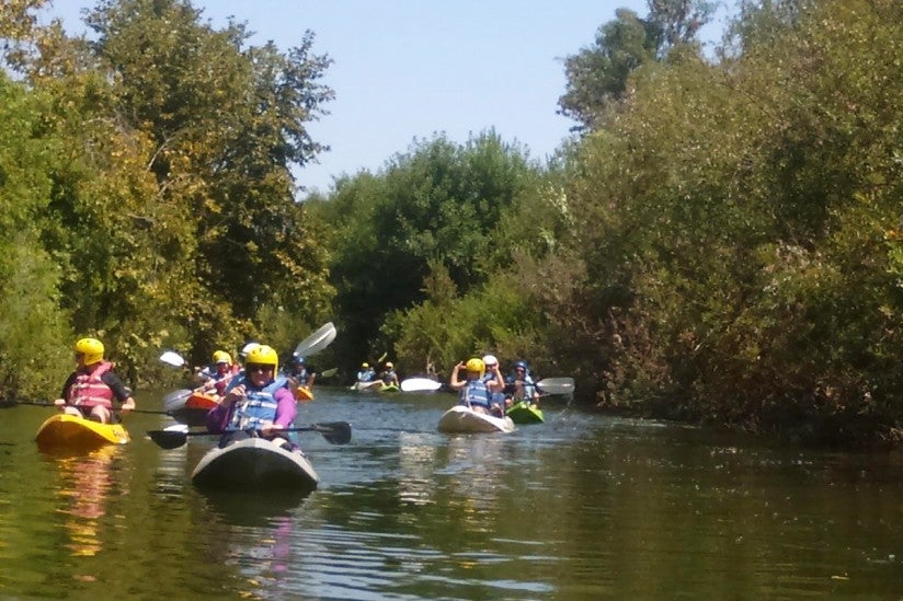 kayaks