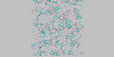simulation of water molecules in Dipicolinic acid 