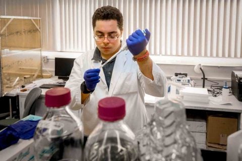 Sina Kiamehr working in a lab