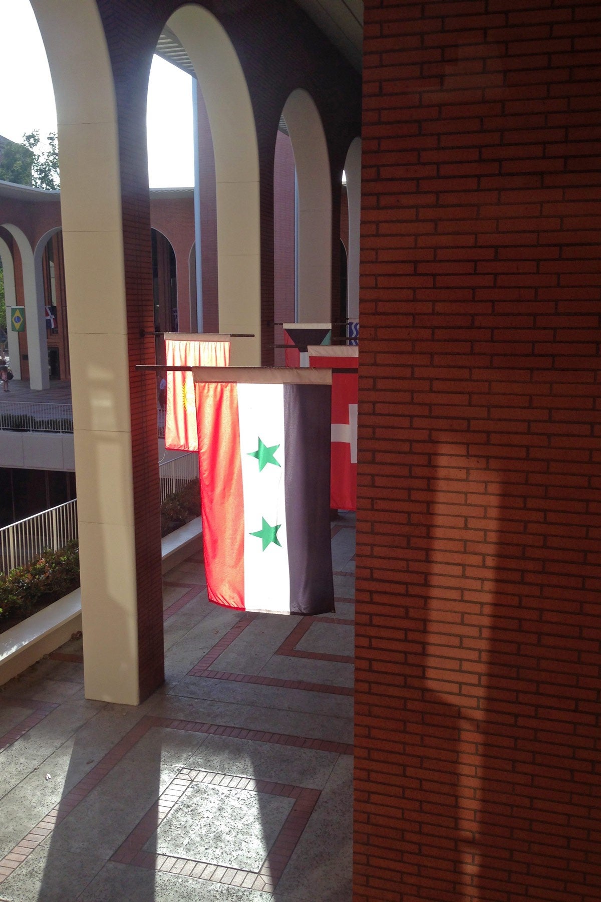 Syrian Flag