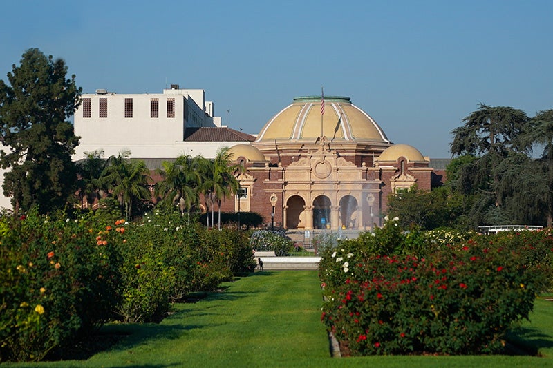 Exposition Park rose gardens