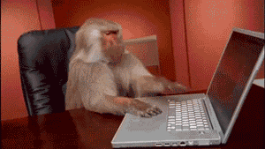 Monkey sits at desk and presses keys on laptop computer, looks frustrated and covers eyes