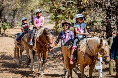 Troy Camp horseback riding