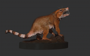 Cifelliodon 3D interpretation