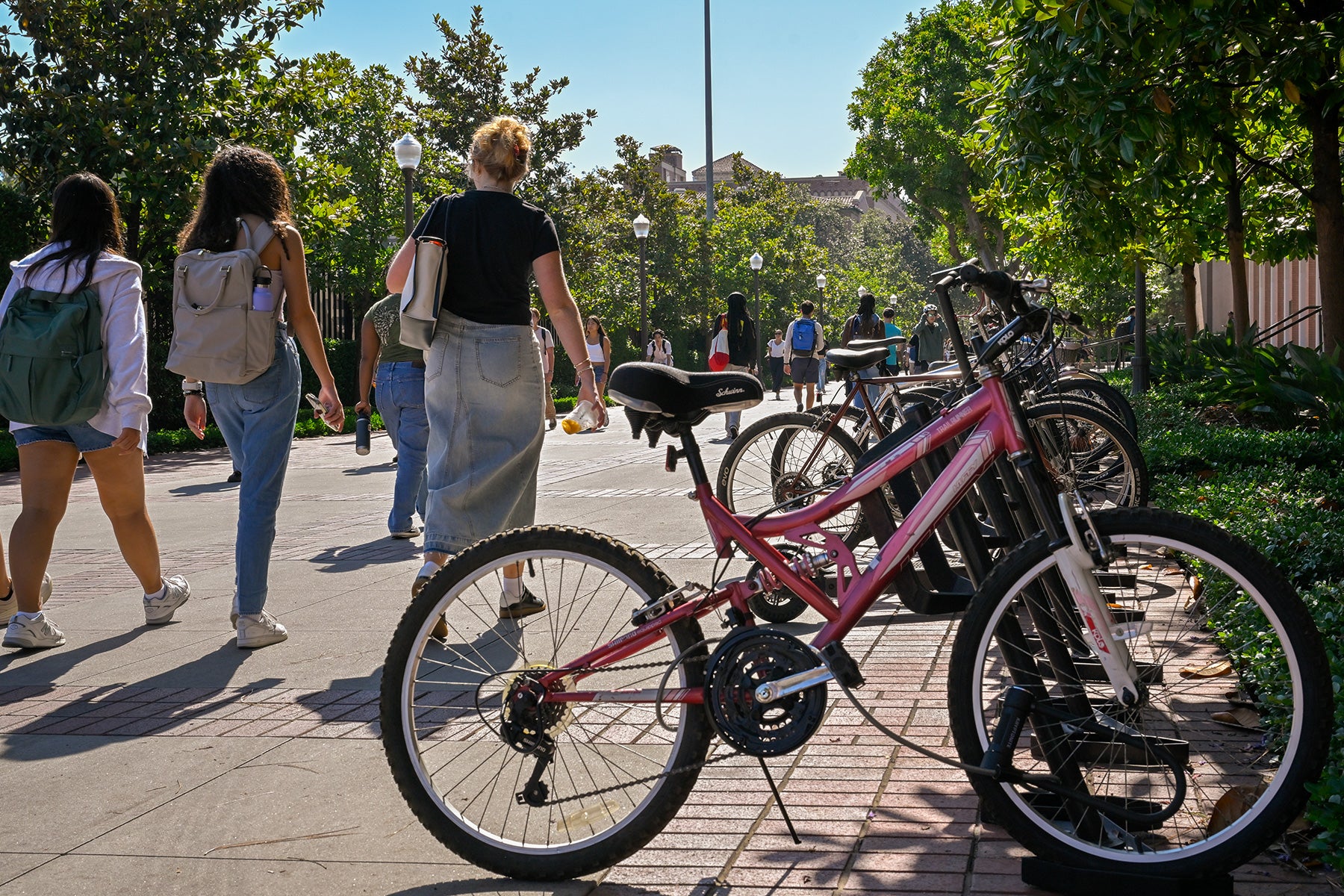 USC campus photos: Busy bike rack