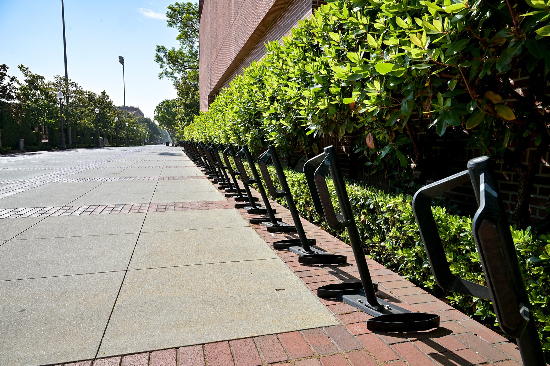 USC campus photos: empty bike racks during summer 2023