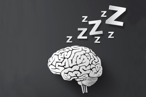 brain with Z's above illustration