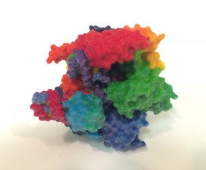 3-D printed Cas9 enzyme that snips a DNA sequence at a location identified by CRISPR. (Photo/NIH 3D Print Exchange, National Institutes of Health)