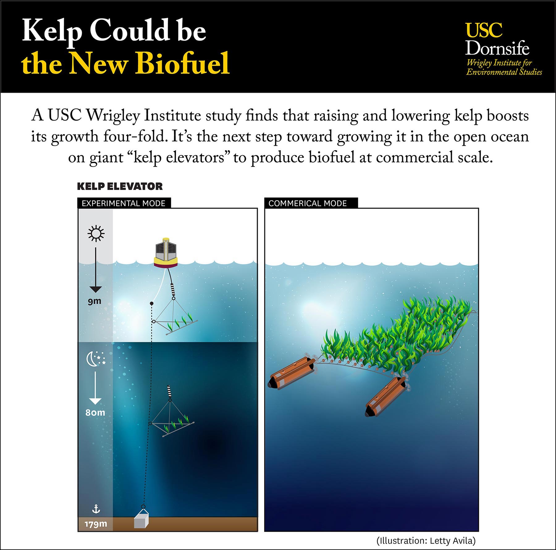 Diagram: Kelp elevator