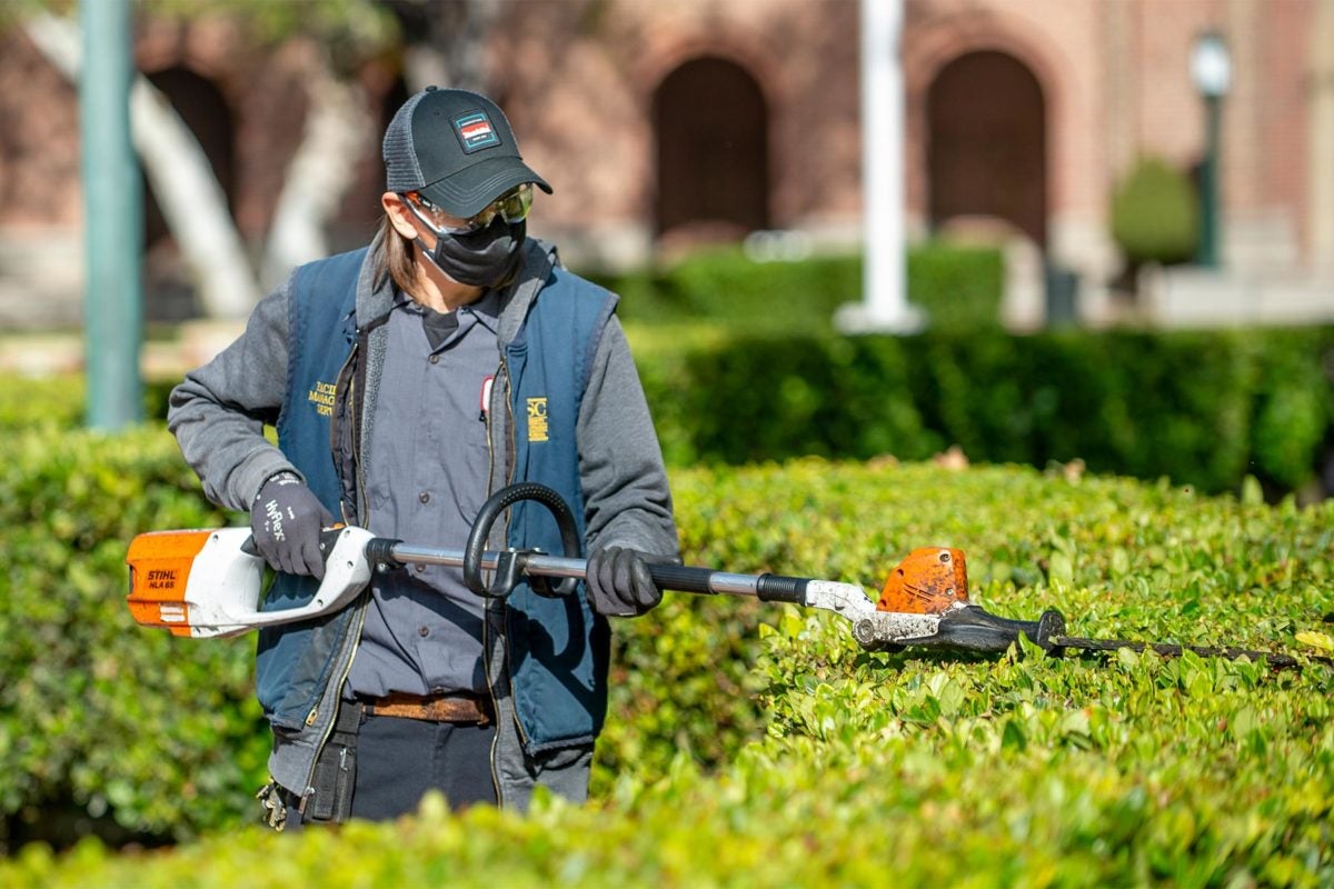 Electric hedge trimmer