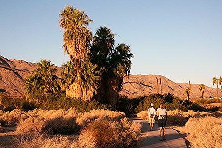 Oasis of Mara at Joshua Tree National Park