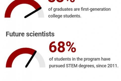 Infographic showing success of NAI scholars