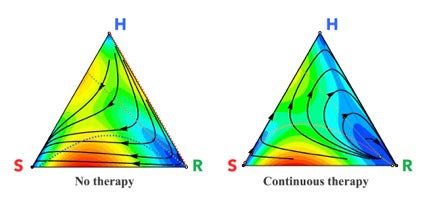 graphic of cells as they respond to chemotherapy 