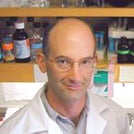 Henry M. Sucov