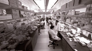 researchers in a lab