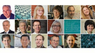 collage of AAA fellows