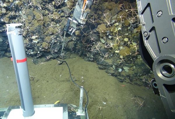 Remotely operated undewater sub Jason-II uses a sensor to measure temperature while exploring an underwater outcrop of rocks