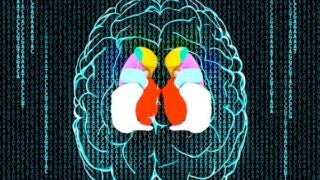 Brain made up of code