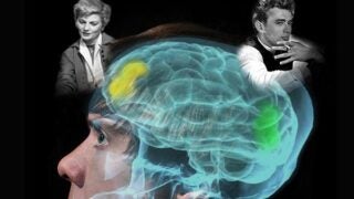 A teenager with his brain highlighted and images of actors who played rebellious characters