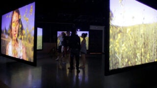 Animation display at an art show