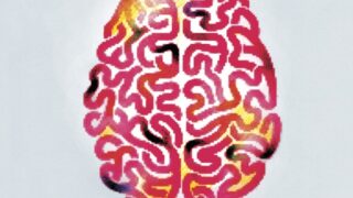 Brain illustration