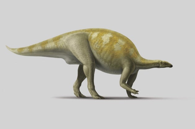 Camptosaurus