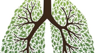 Lung made up of tree roots and leaves