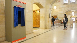 Sara Fenton video installation