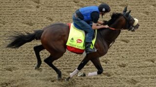 Trojan Nation horse race