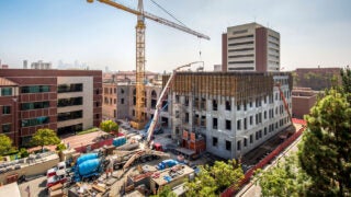 Cranes doing construction on Michelson building