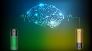 Brain and electrical current