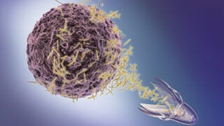 Rendering of cell and antibody attacking the cell