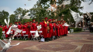 Doves being released at USC's Commencement ceremony