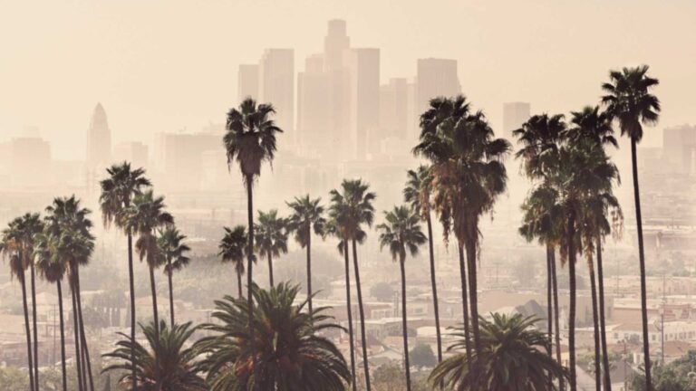 Downtown LA skyline with palm trees
