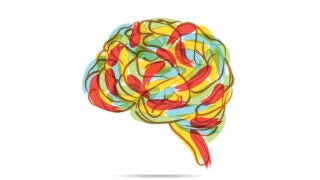 brain illustration
