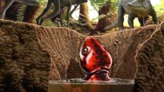 subterranean carnivore graphic