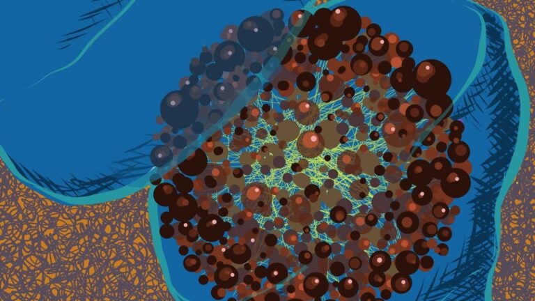 protein interactions illustration
