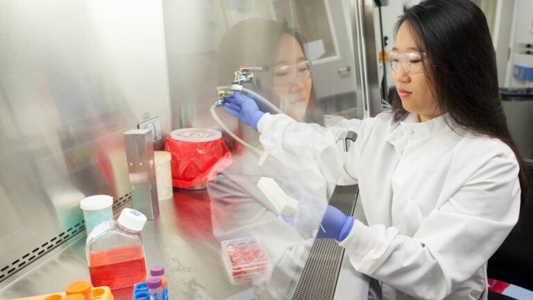 Joycelyn Yip in lab