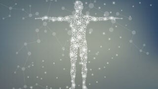 human composed of particles