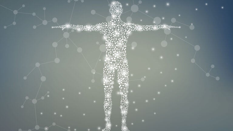 human composed of particles