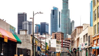 Los Angeles homeless population