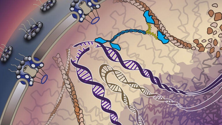 DNA illustration
