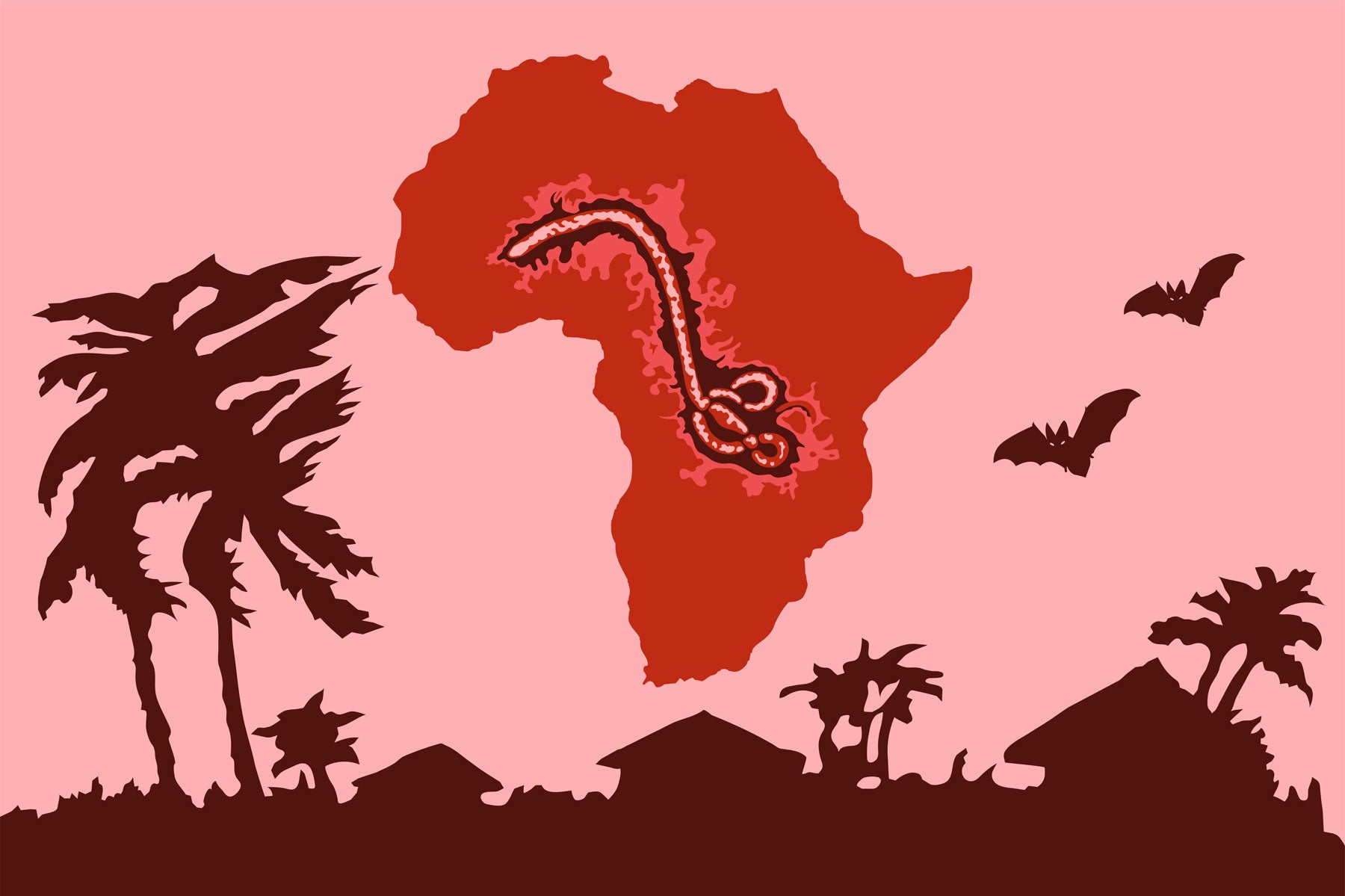 Disease detective tracks possible rabies or Ebola in Africa