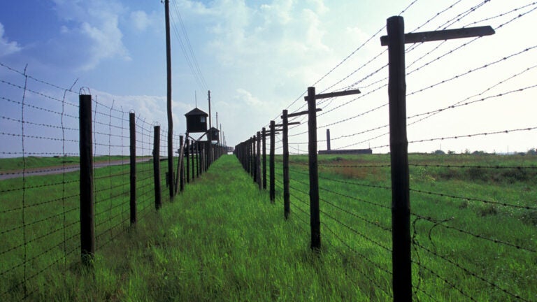 barbed wire