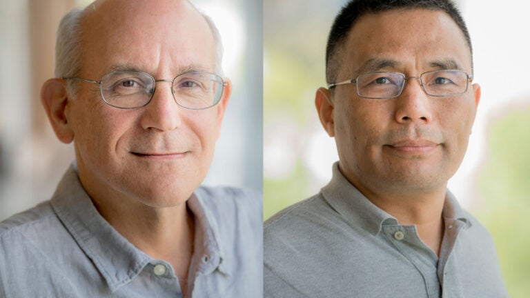 Neil Segil and Qi-Long Ying