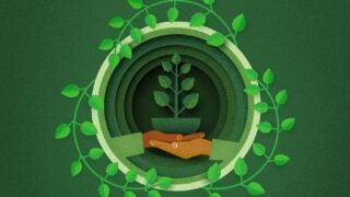 USC sustainability goals include minimizing trash that goes to landfills by recycling, composting and reducing food waste.