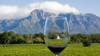 A glass of wine behind a vineyard and mountains