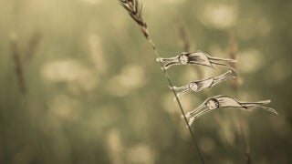 We have different capacities for facing trauma and adversity, and USC researchers are exploring why.